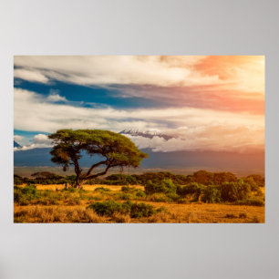 Poster O Monte Kilimanjaro   Amboseli, Kenya