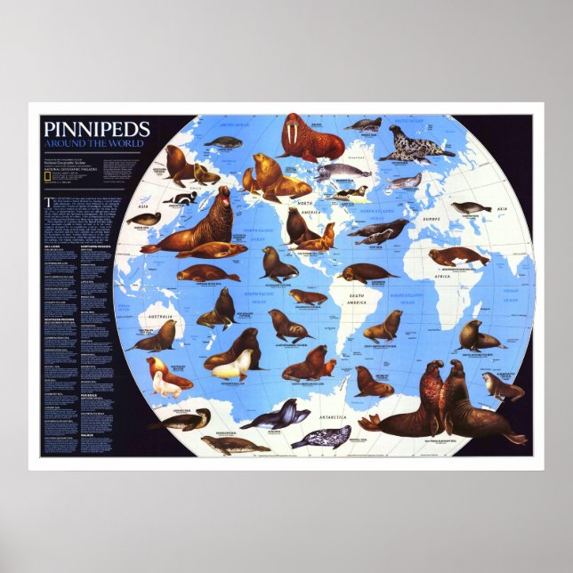 Poster " O Mundo: 1987 Pinniped em volta do Mundo ... (Frente)