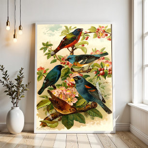 Poster O Mundo das Aves Norte-Americanas, Gustav Mützel
