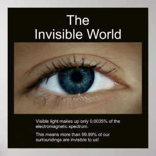 Poster O Mundo Invisível