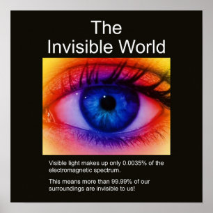 Poster O Mundo Invisível