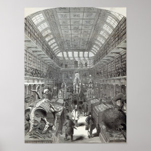 Pôster O museu de Hunterian