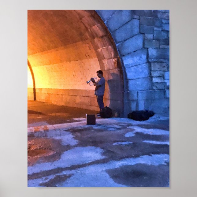 Poster O músico no Riverside Park Summer na NYC (Frente)