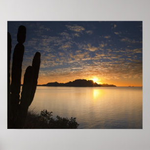 Poster O nascer do sol sobre a Isla Danzante no Golfo de