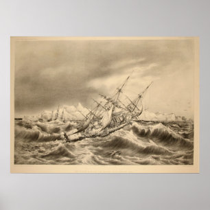Pôster O navio jogado pela tempestade