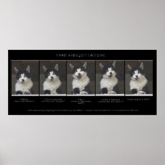 Poster "O NEGOCIADOR" Engraçado Sequência de Foto de Gato