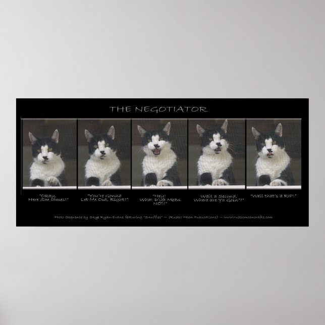 Poster "O NEGOCIADOR" Engraçado Sequência de Foto de Gato (Frente)
