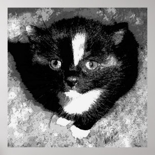 Poster O Observador Silencioso