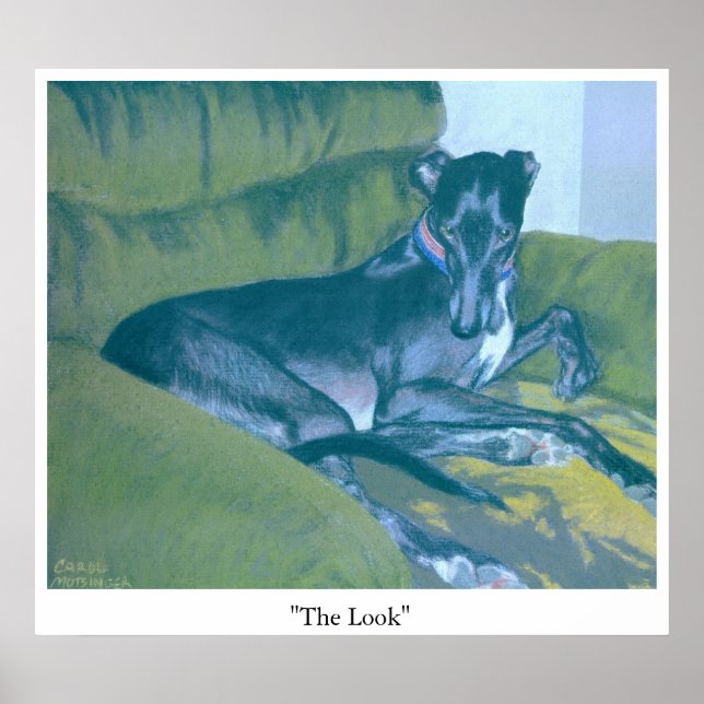 Poster O olhar (Frente)