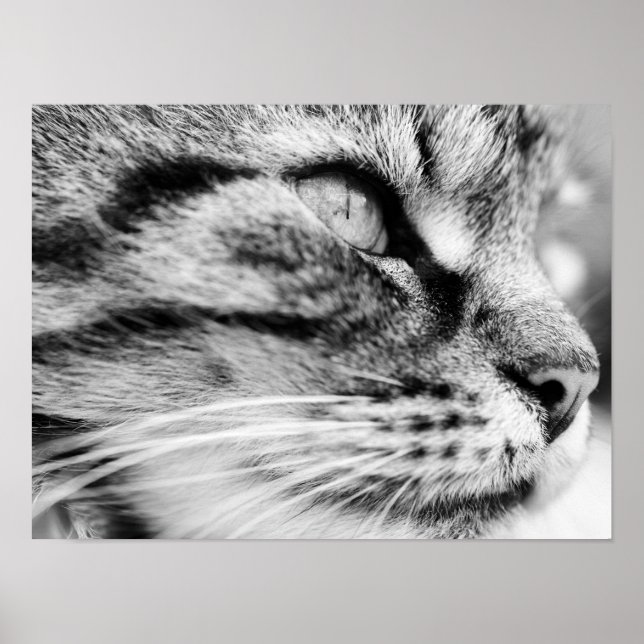 Poster O olhar (Frente)