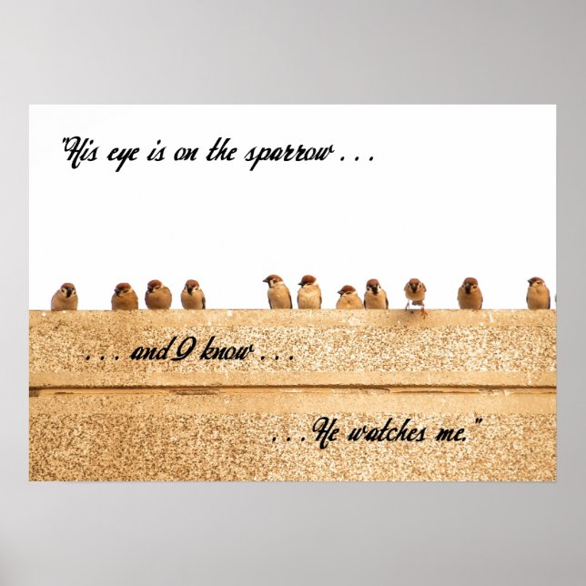 Pôster O Olho dele está no Sparrow. . . (Frente)