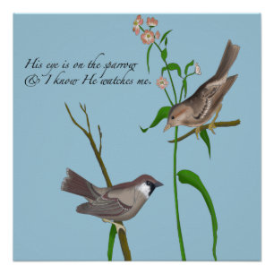 Pôster O olho dele está no Sparrow