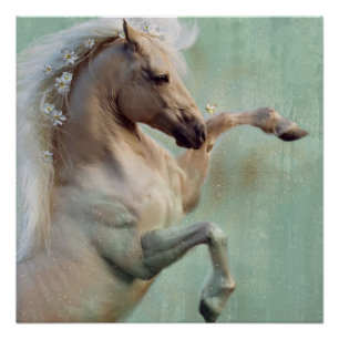 Pôster O Ouro Stallion Horse - Poster