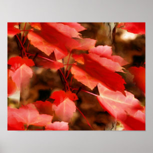 Poster O outono vermelho deixa a natureza da pintura a ó