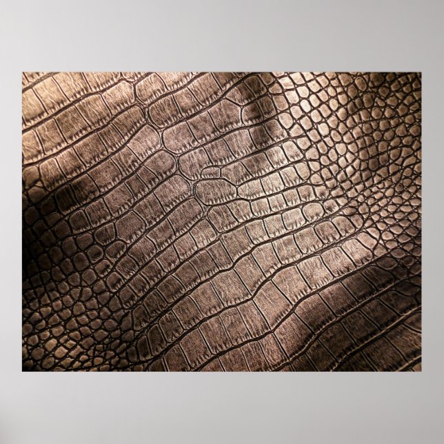 Poster O padrão de couro elegante se fecha. (Frente)