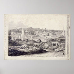 Pôster O Palácio Cristal