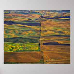 Pôster O Palouse a partir de Steptoe Butte, Colfax,