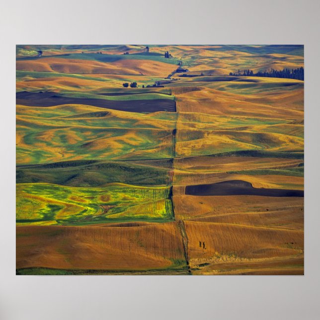 Pôster O Palouse a partir de Steptoe Butte, Colfax, (Frente)