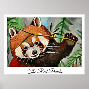 Poster O Panda Vermelho