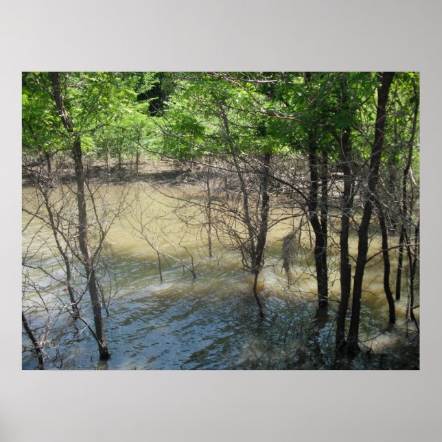 Pôster O pântano (Frente)