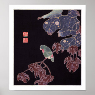 Poster O papagaio, Jakuchū
