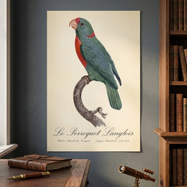 Poster O Papagaio Langlois de Jacques Barraband (Le Perroquet Langlois by Jacques Barraband. Poster )