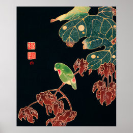 Poster O Paroquet de Ito Jakuchu (cerca de 1900)