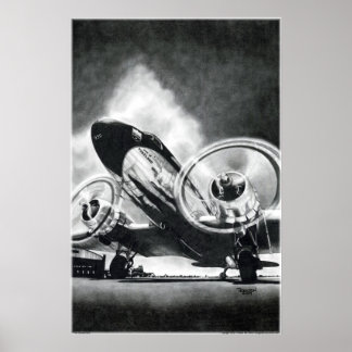 Poster O Pássaro Gooney