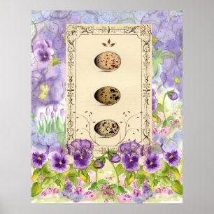 Poster O pássaro roxo do amor perfeito Eggs a arte da