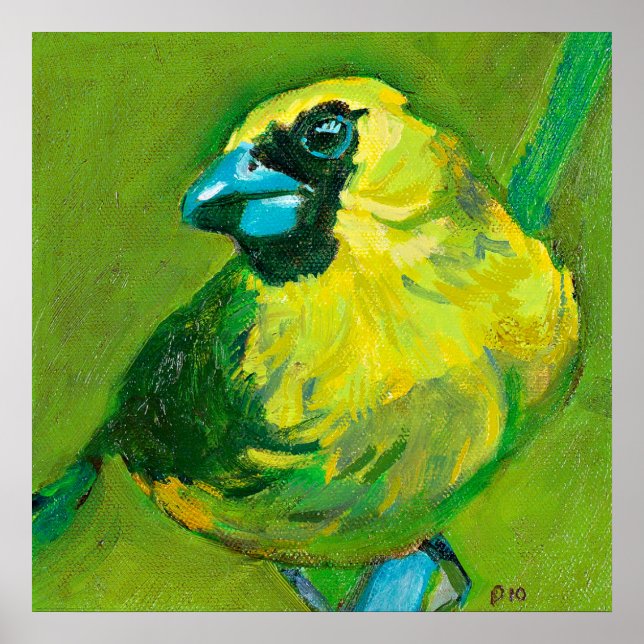 Poster O Pássaro Verde Com O Bico Azul (Frente)