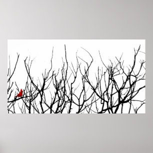 Poster O pássaro vermelho por pimentas de Leslie