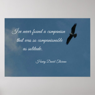 Pôster O pássaro voando alto com uma citação sobre a s