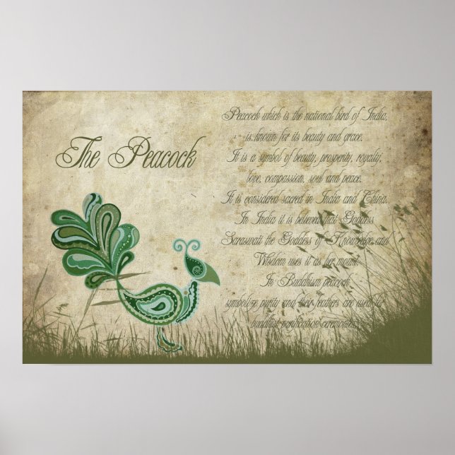 Poster O Pavão (Frente)