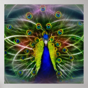 Pôster O pavão Dreamcatcher