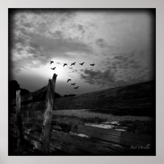 Pôster O Pedido De Ir