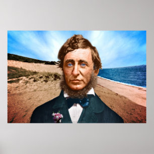 Poster O Penman de Wellfleet