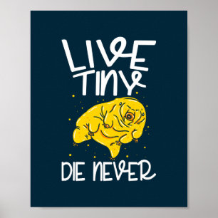 Poster O Pequeno Vivo Morre Nunca Água Ursa