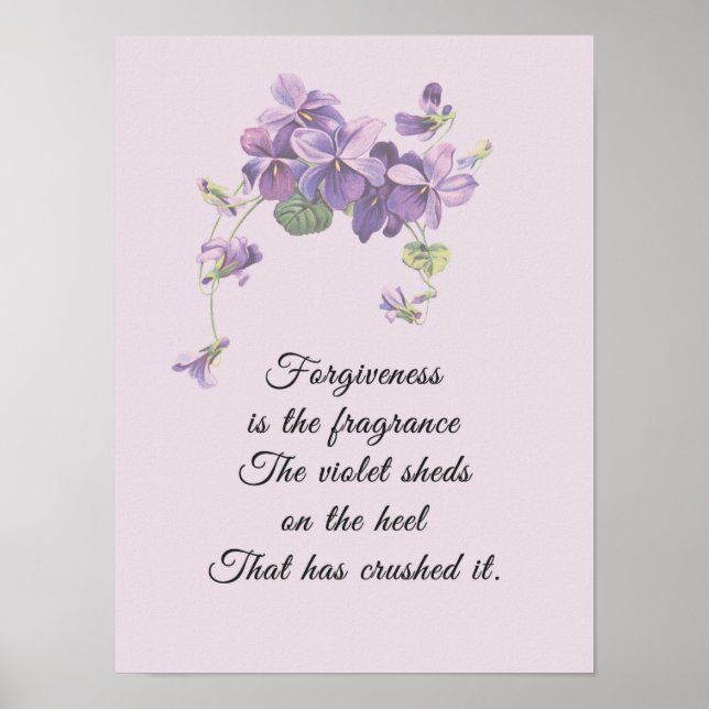Poster O Perdão é a Fragrância que a Violeta Libera (Frente)