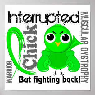 Poster O pintinho interrompeu a distrofia 3 muscular