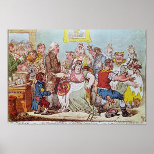 Pôster O Pock da vaca ou os efeitos maravilhosos