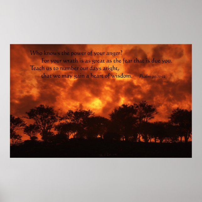 Pôster O poder da raiva (Frente)