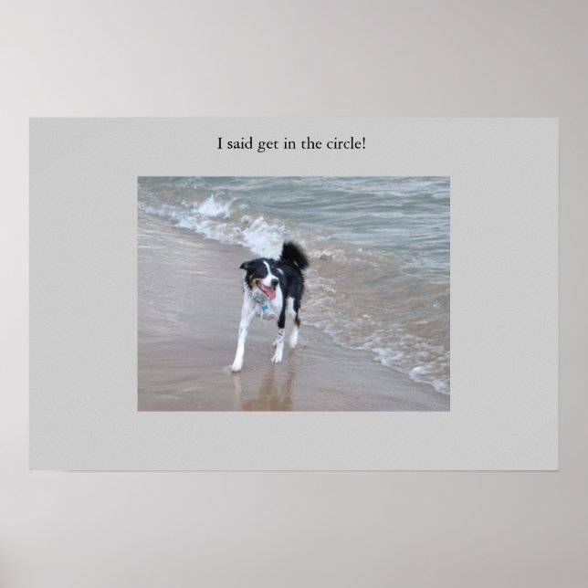 Pôster O poderoso Collie (Frente)