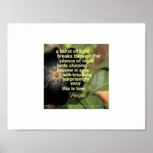 Poster O Poema da Manhã de Ahsek Novel