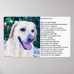 Poster O poema do cão