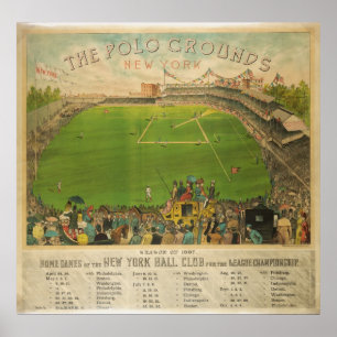 Pôster O polo aterra o estádio de basebol em 1887