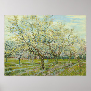 Poster O pomar branco de Vincent Van Gogh