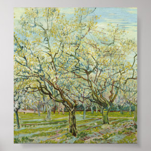 Poster O pomar branco de Vincent Van Gogh