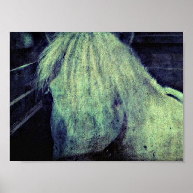 Pôster O Pôneo (Frente)