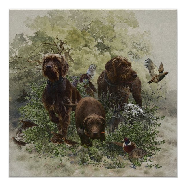 Pôster O Ponteiro (Frente)