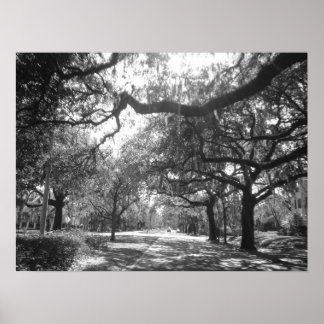 Pôster O Porto da Natureza